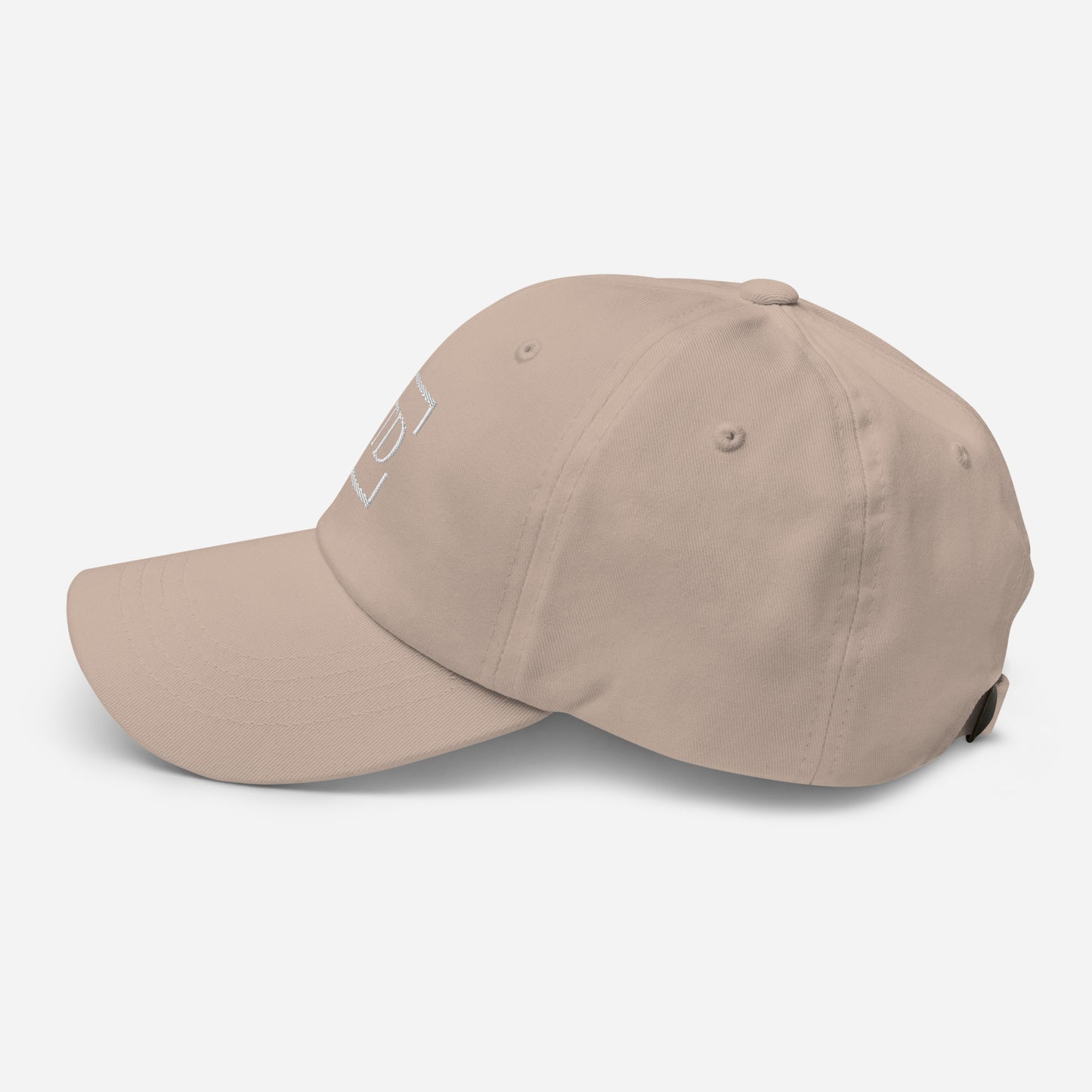 The Dispatch Logo Baseball Hat